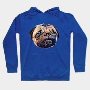 Pug - Cute Puppy Dog Eyes Hoodie